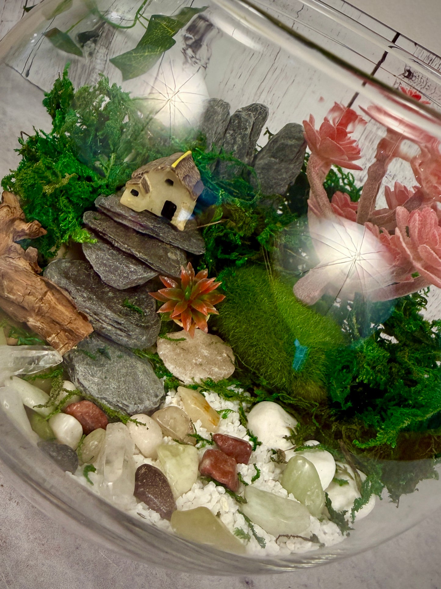 🌿Moss & Magic — A Tiny World Awaits