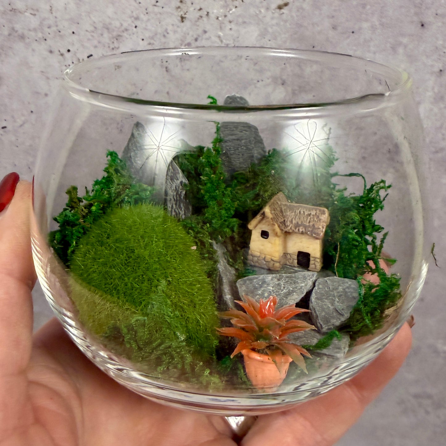 🌿Moss & Magic — A Tiny World Awaits