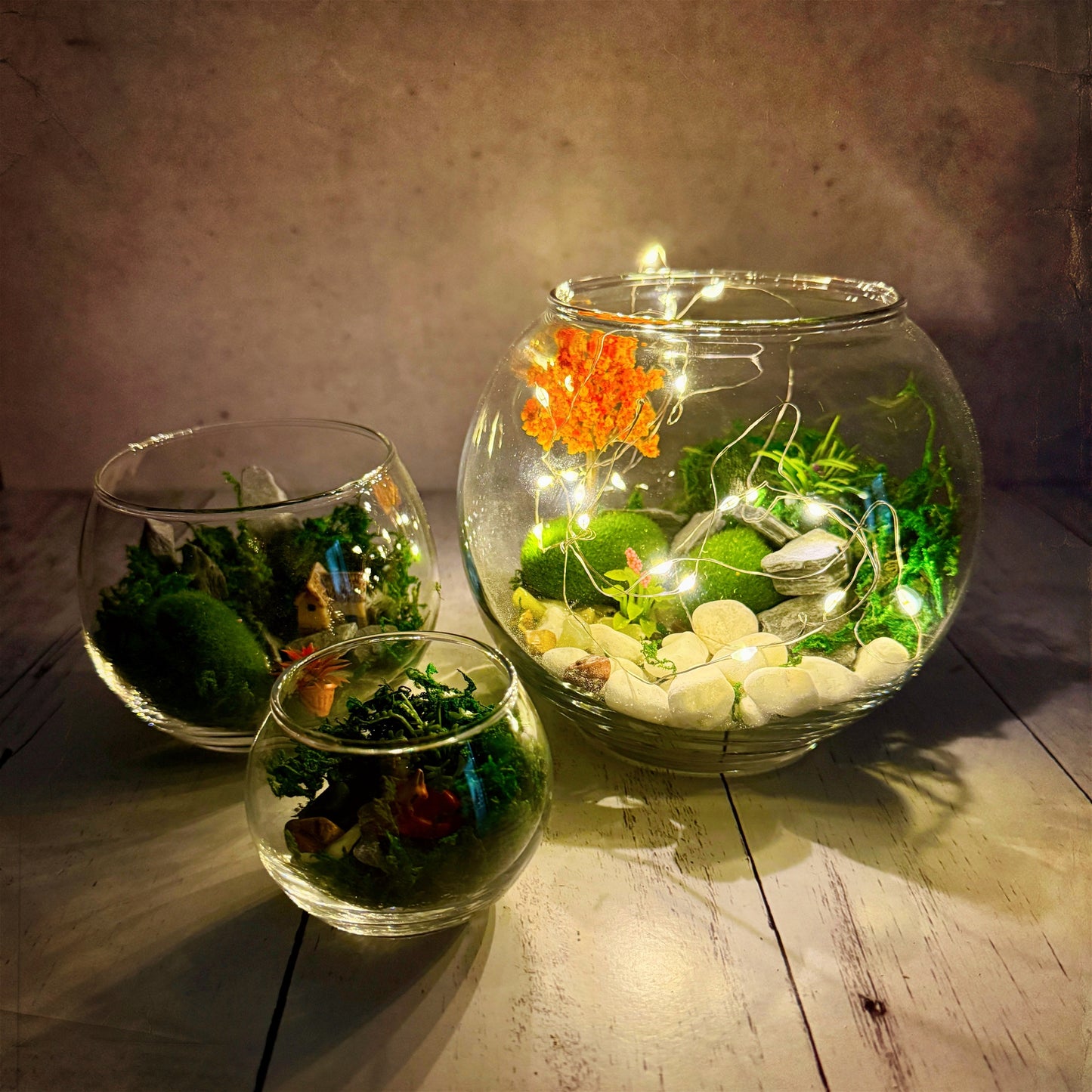 🌿Moss & Magic — A Tiny World Awaits