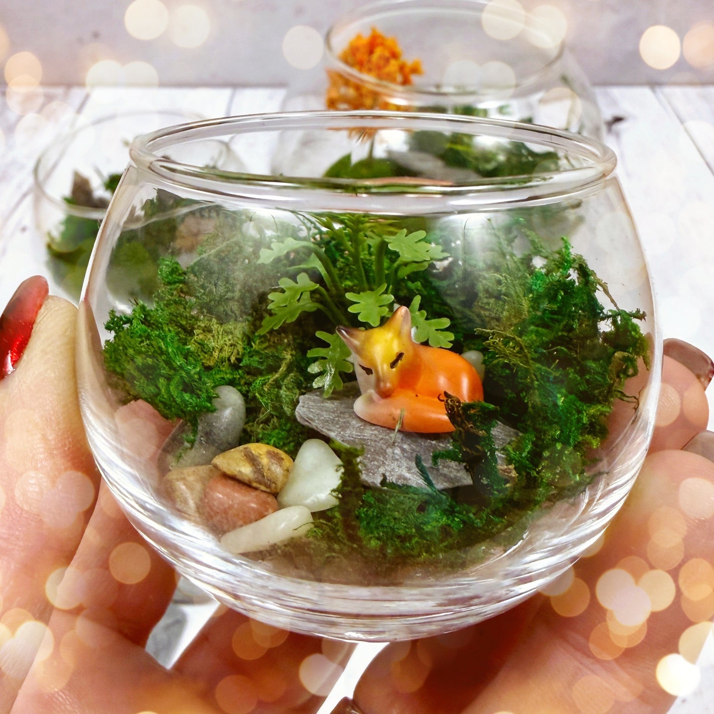 🌿Moss & Magic — A Tiny World Awaits