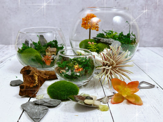 🌿Moss & Magic — A Tiny World Awaits
